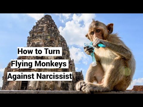 Smear Campaign: Turn Narcissist's Flying Monkeys Against Him/Her