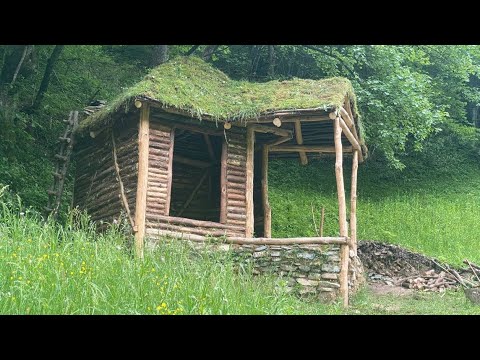 The construction of the house is ongoing. He covered the little house with moss. Part 3