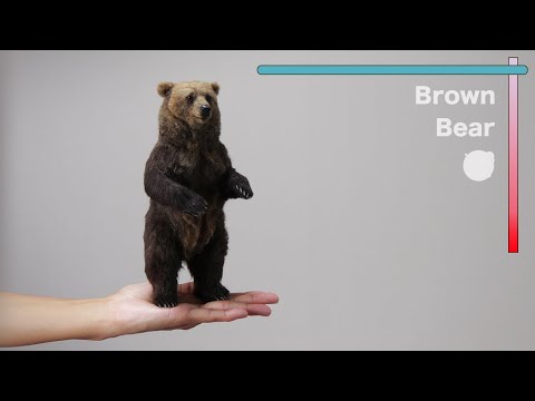 "Brown Bear" The process of making with wool felt