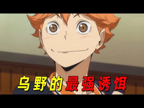 排球少年里的绝对主角!最强诱饵日向翔阳,即使失败1000次,也会发起第1001次冲锋!