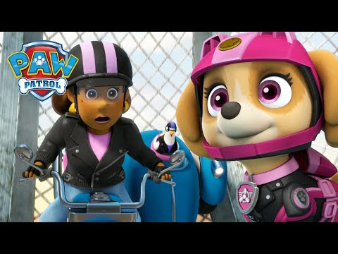 摩托狗狗們從浪毛幫夥伴們手中拯救了古威市長!- PAW Patrol 汪汪隊立大功 - 兒童卡通