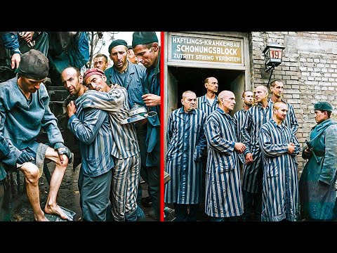 What Happened to the Jews After World War 2?