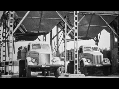 В Барабинской степи, 1974