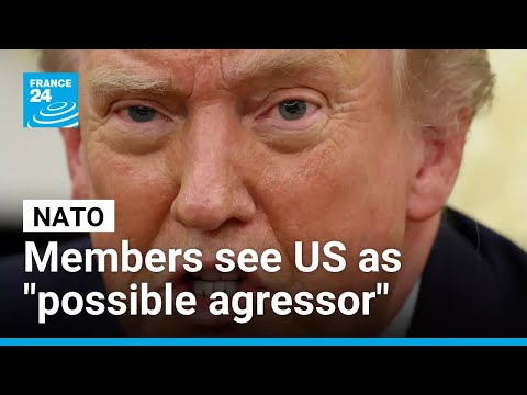 NATO countries now see the US as a "possible agressor" • FRANCE 24 English
