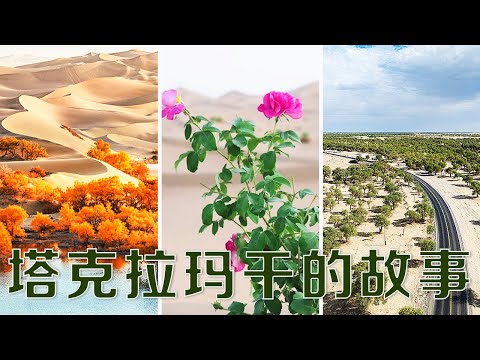 太空直击!3046公里如何“锁”住沙漠?太震撼了!中国人给塔克拉玛干沙漠套上“五环” | LIVE NOW