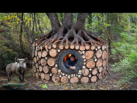 Building a Forest Shelter from Logs: Wild Boar Attacks at Night Bushcraft Survival