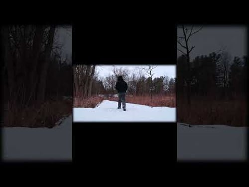Winter Walk ❄️
