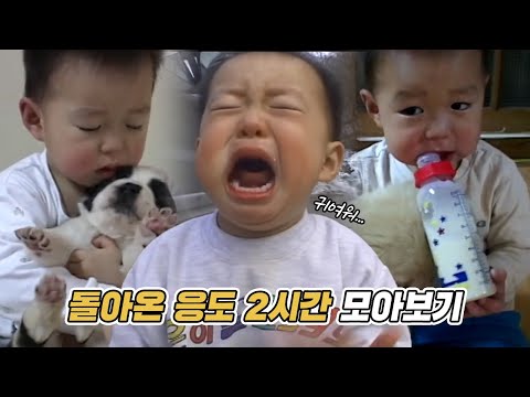 🌕추석특집🌕 아기 응도 또 울어?! 강아지들 때문에 눈물 마를 날 없는 돌아온 응도 2시간 모아보기 1탄 | EP 1~11 | KBS 주주클럽 2002 방송
