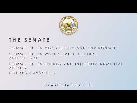 AEN-WLA-EIG, AEN-WLA-EDT, AEN-GVO, AEN DEFER, AEN, AEN-EDU Public Hearings 02-18-2026