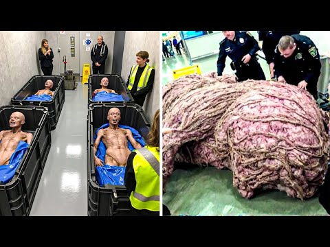 То, О Чём Молчат Все Авиакомпании… Пока Это Не Сняли На Камеру