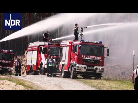 Waldbrand außer Kontrolle: Mit Panzern gegen das Feuer in der Lübtheener Heide | die nordreportage |
