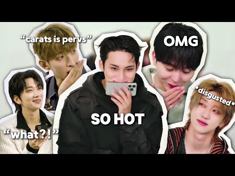 seventeen in wild tweet CHAOS