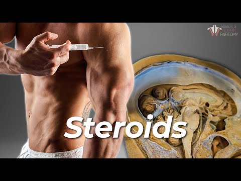What Steroids Do to the Body