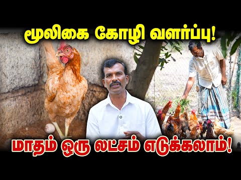 1 lakh per month is guaranteed in local poultry farming! Try doing it like this! #poultryfarming ...