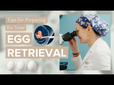 BEFORE Your Egg Retrieval: Tips to Prepare and What to Know - Dr. Lora Shahine