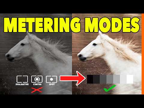 Stop Taking Lifeless Wildlife Photos – Here’s How to Make Them Unforgettable