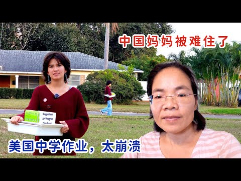 美国中学生的作业,做饼售卖,竟如此遭遇,线上的反应让我们措不及防,我把捐款链接拿下来了,非常感谢大家