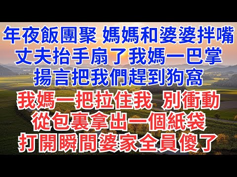 年夜飯團聚,媽媽和婆婆拌嘴,丈夫抬手扇了我媽一巴掌,揚言把我們趕到狗窩,我媽一把拉住我,別衝動,從包裏拿出一個紙袋,打開瞬間婆家全員跪地傻了!#情感故事#故事#小說#戀愛#情感#婚姻
