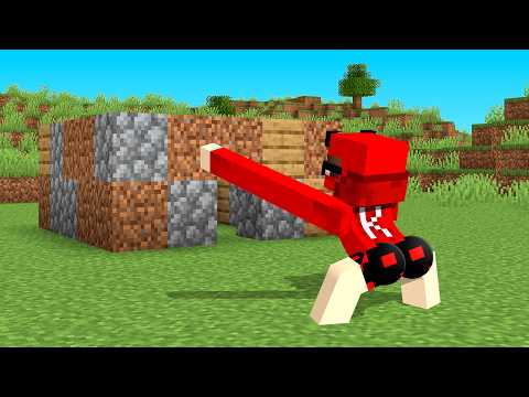 SOMETHING WITH 0% LOGIC IN MINECRAFT!