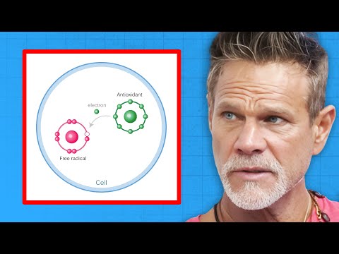 The PRIMARY Antioxidant Is Melatonin, NOT Glutathione | Dr. John Lieurance
