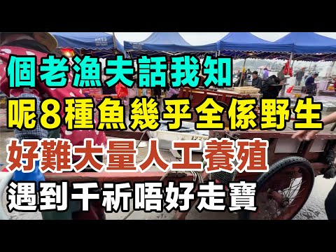 個老漁夫話我知,呢8種魚幾乎全部係野生,好難大量人工養殖,遇到千祈唔好走寶!#健康你要知 #養生唔好中伏 #食物真相揭秘 #廚房智慧 #飲食要清淡 #食得健康 #你唔知的營養知識 #街市買餸攻略