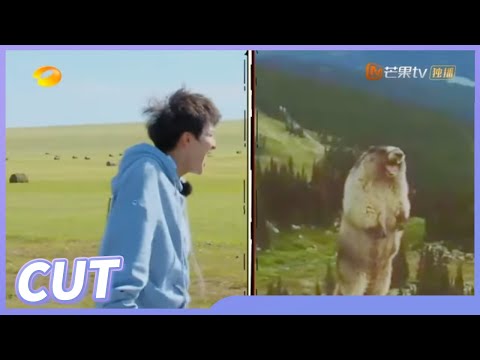 【周深驾校日记】搞笑艺人周深实锤!在线学土拨鼠尖叫放飞自我《新手驾到》 Go Newbies丨MangoTV