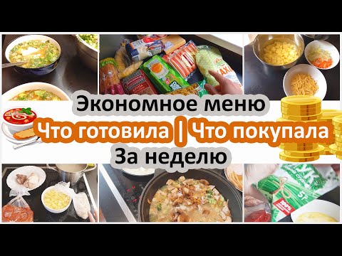 Экономное меню. Что готовила за неделю? Сколько потратила?