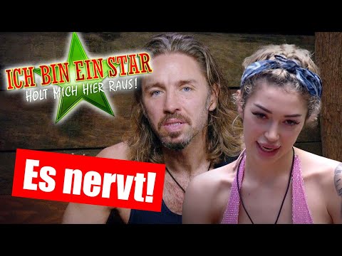 Dschungelcamp 2026: ES NERVT!!!