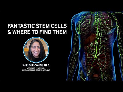 FANTASTIC STEM CELLS and Where to Find Them with Shiri Gur-Cohen