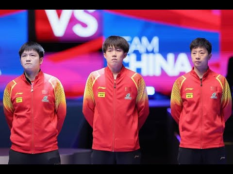 【乒乓球】《綻放巴黎》國乒男隊 不只冠軍 #馬龍 #樊振東 #王楚钦