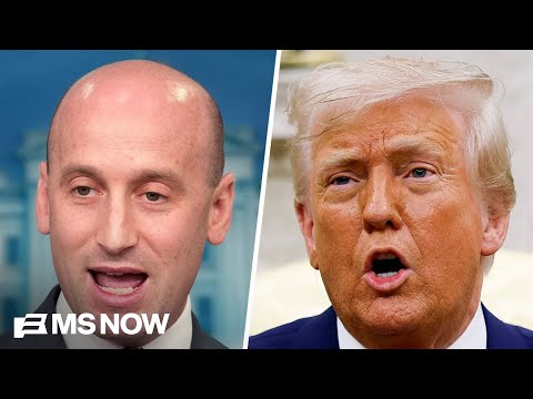 Analyst blasts Stephen Miller’s ‘racist fantasies’ amid DHS turmoil