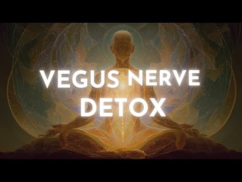 Deep Sleep Hypnosis for Vagus Nerve Detox, Stress Release, and Full Body Nervous System Reset