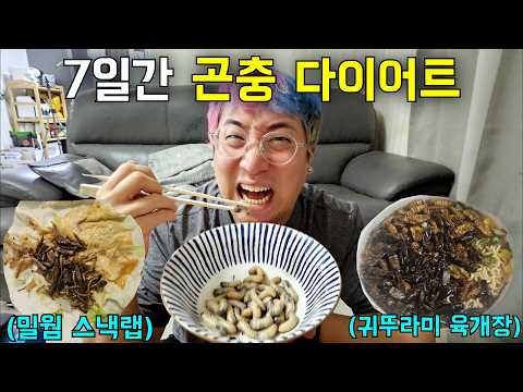 7일간 곤충만 먹으면 살이 빠질까?