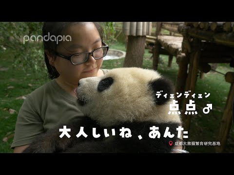 耳が無くなったよ?