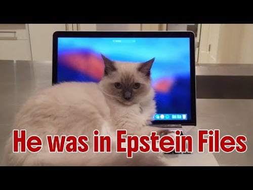 In Epstein Files was found most harmless and cute video - just CAT