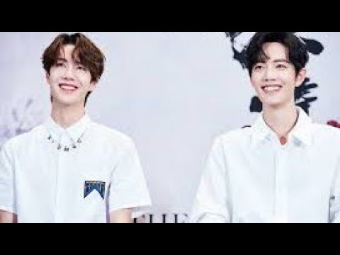The documentary that all the turtles of the XiaoZhan-Yibo couple must see