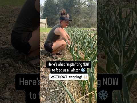Here’s what I’m planting NOW to feed us all winter ❄️
