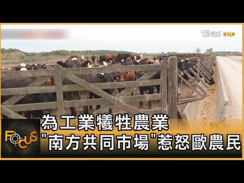 為工業犧牲農業 「南方共同市場」惹怒歐農民|秦綾謙|FOCUS全球新聞20251219 @tvbsfocus