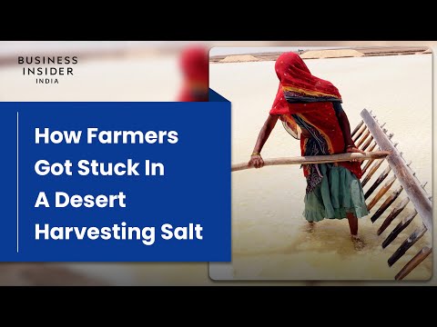 How These Farmers Got Stuck In A Desert Harvesting Salt For $4 A Ton | Big Business