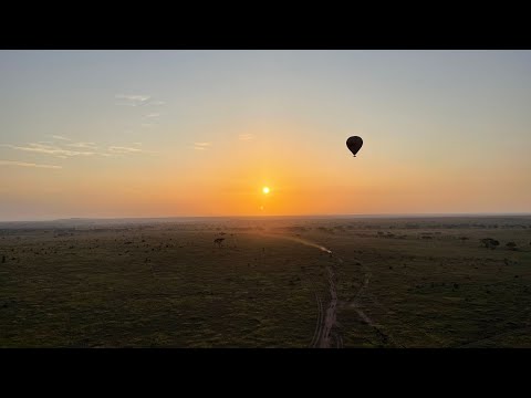 Chasing the Great Migration in Serengeti!