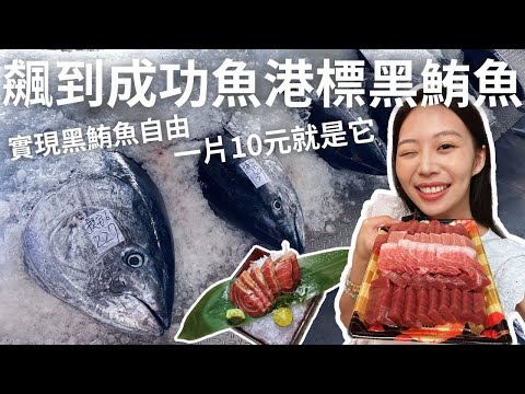 一片十元就是它!飆到台東成功漁港標黑鮪魚|完全黑鮪魚自由了啦~黑鮪魚大餐吃起來!