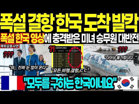 해외감동사연 주말 몰아보기 1 2 폭설 내린 한국 기습한파 3초만에 경악 한국 폭설 특집 방송 세계가 난리 났다고 오직 한국에서만 볼 수 있는 집당행동에 전세계 발칵