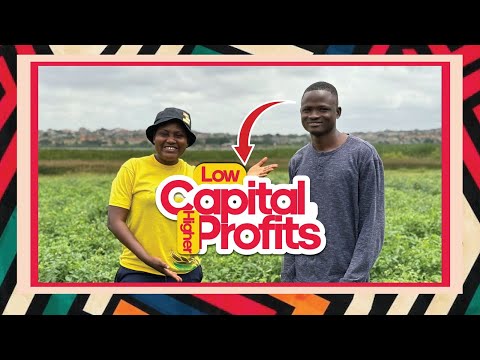 How He Unmasked WEALTH In Farming After University & Ditched 9-to-5 Office Job Hunting | Details