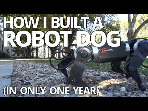 One year of building a robot dog
