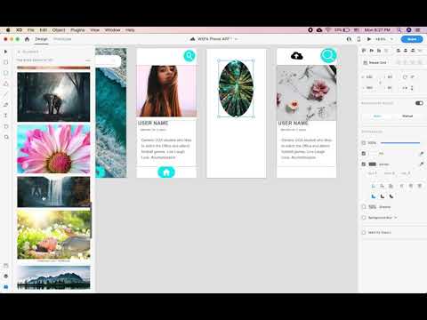 Adobe XD 3 Tips and Tricks
