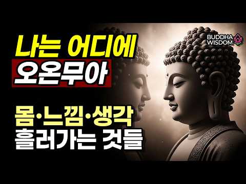 오온무아, 왜 부처님은 나를 다섯 무더기로 보라 하셨을까? 이 순간 당신이 느끼는 모든 것, 정말 당신입니까?