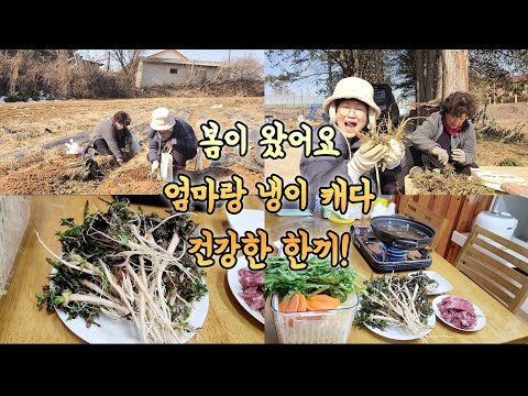 날씨가 따듯해요 냉이 맛봐야죠 친정엄마랑 냉이 뜯어 건강한 한끼!
