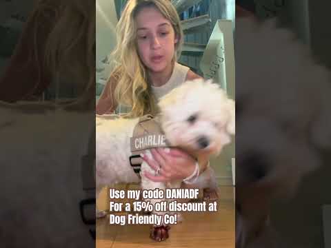 Charlie is walking in style! Thank you @dogfriendlyco for partnering with me! 💙🐾