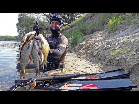 COMPASS №35 UNDERWATER HUNTING FOR THE JOURNAL AND THE LANGUAGE