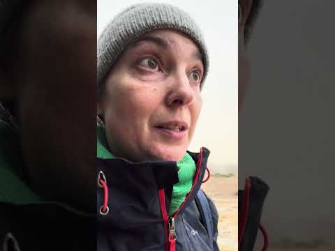 Tecnología y Salud #morenotechies #carreraprofessional